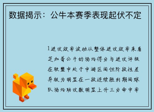 数据揭示：公牛本赛季表现起伏不定